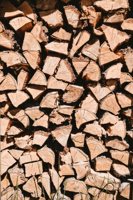 干枯的木柴堆