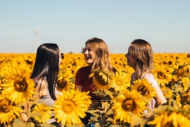站在向日葵花瓣中的三位女人