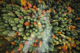 AUTUMN COLORS-秋天的色彩