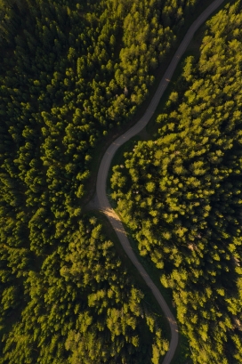 高空中俯拍的森林弯路