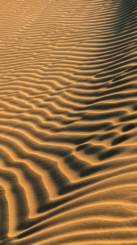 十分漂亮的金色波浪线沙漠