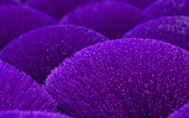 紫色LED光纤