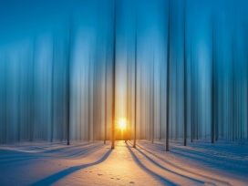 唯美的冬季森林日出图片