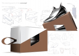 概念性可持续鞋盒