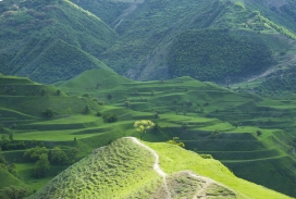 绿色丘陵风景图片