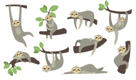 可爱的瞌睡树懒猴动物矢量插画素材