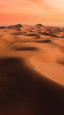 金色沙漠徒步者