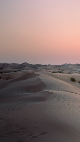晚霞下的沙漠风景图