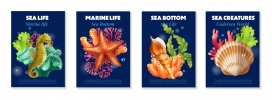 丰富多彩的海洋野生生物写实海报套装