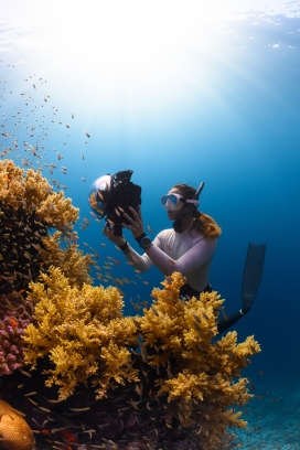 深海中手持水下摄影机给珊瑚礁摄影的摄影师
