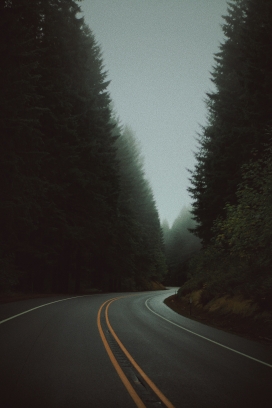 雨雾下的森林双黄线马路弯道