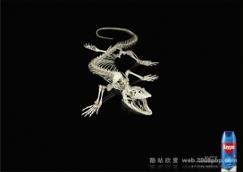 09aygon 欧美恐龙化石B平面广告设计